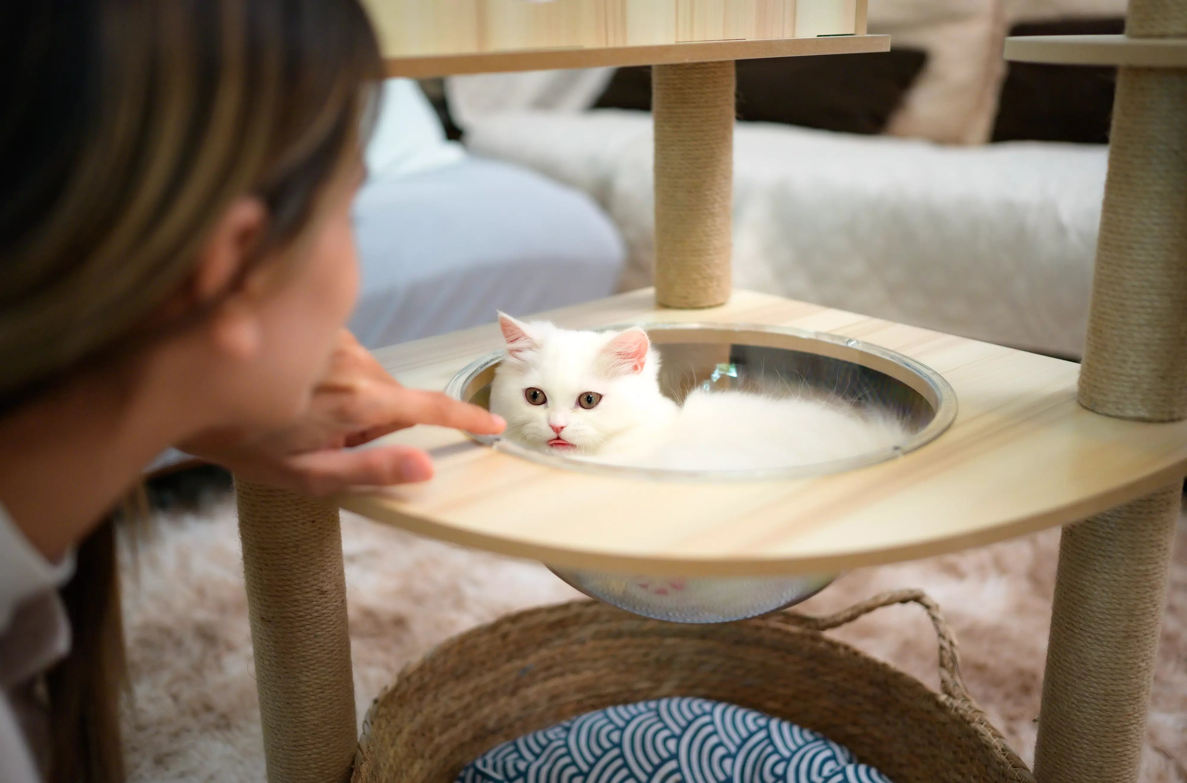 Comment nettoyer son arbre a chat ?