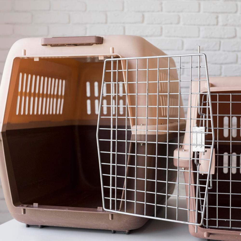 cage de transport pour chat