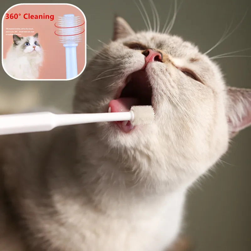 Chat-qui-se-brosse-les-dents