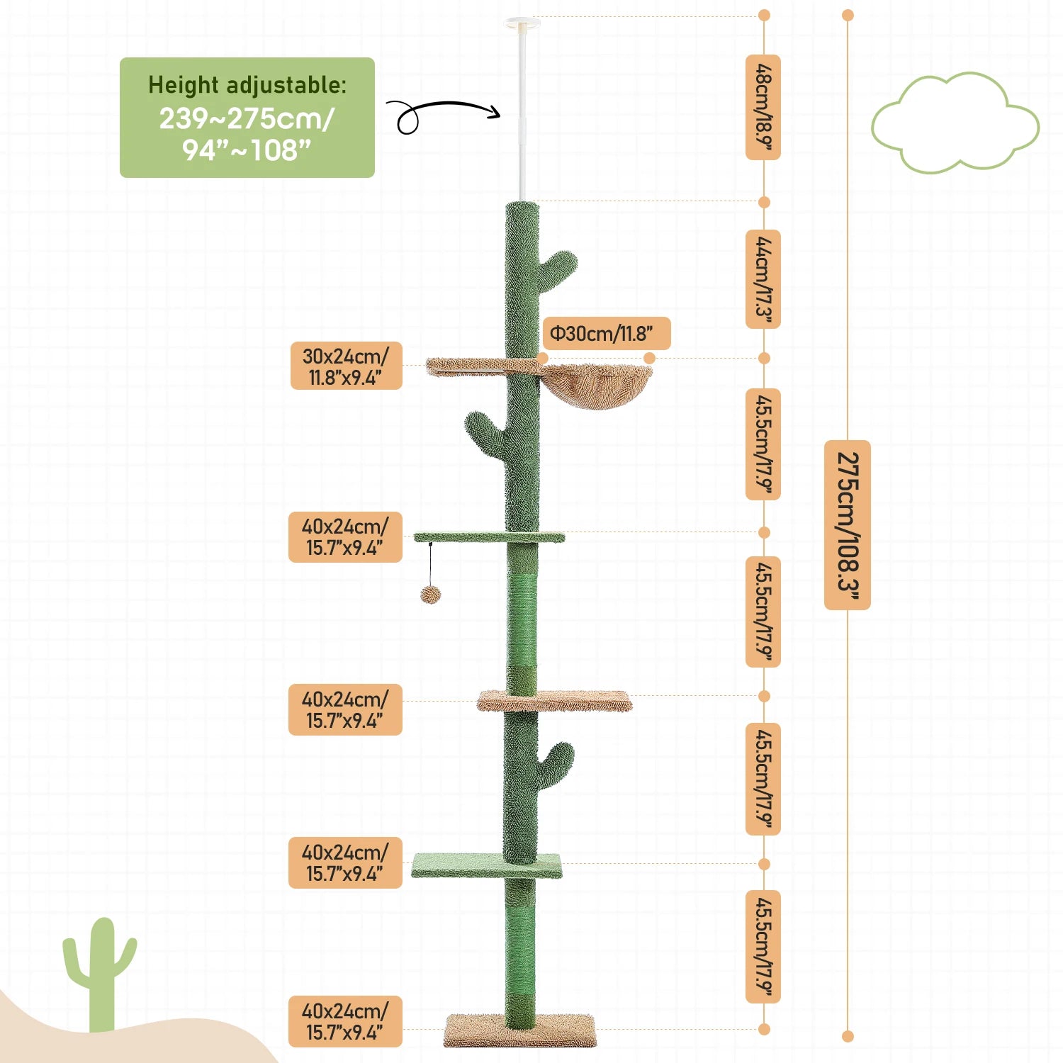 Dimensions-sur-arbre-a-chat-cactus