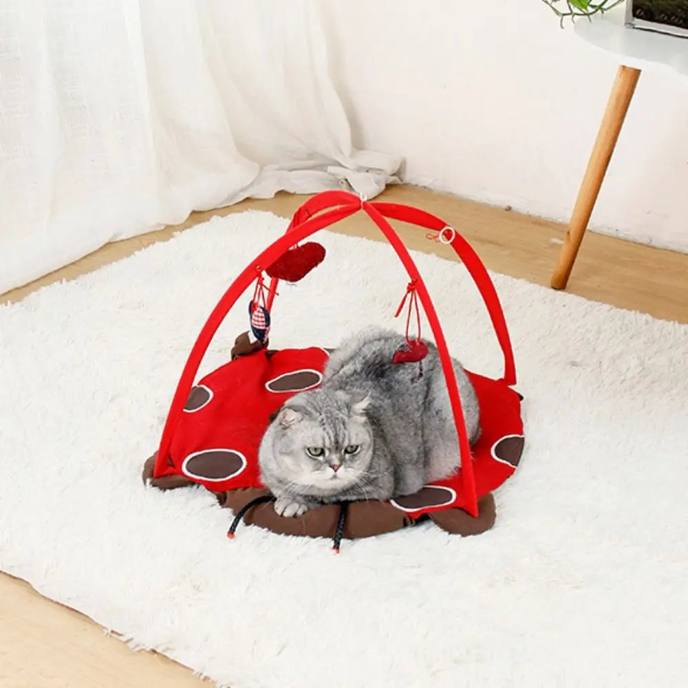 Tapis de jeu pour chat coccinelle