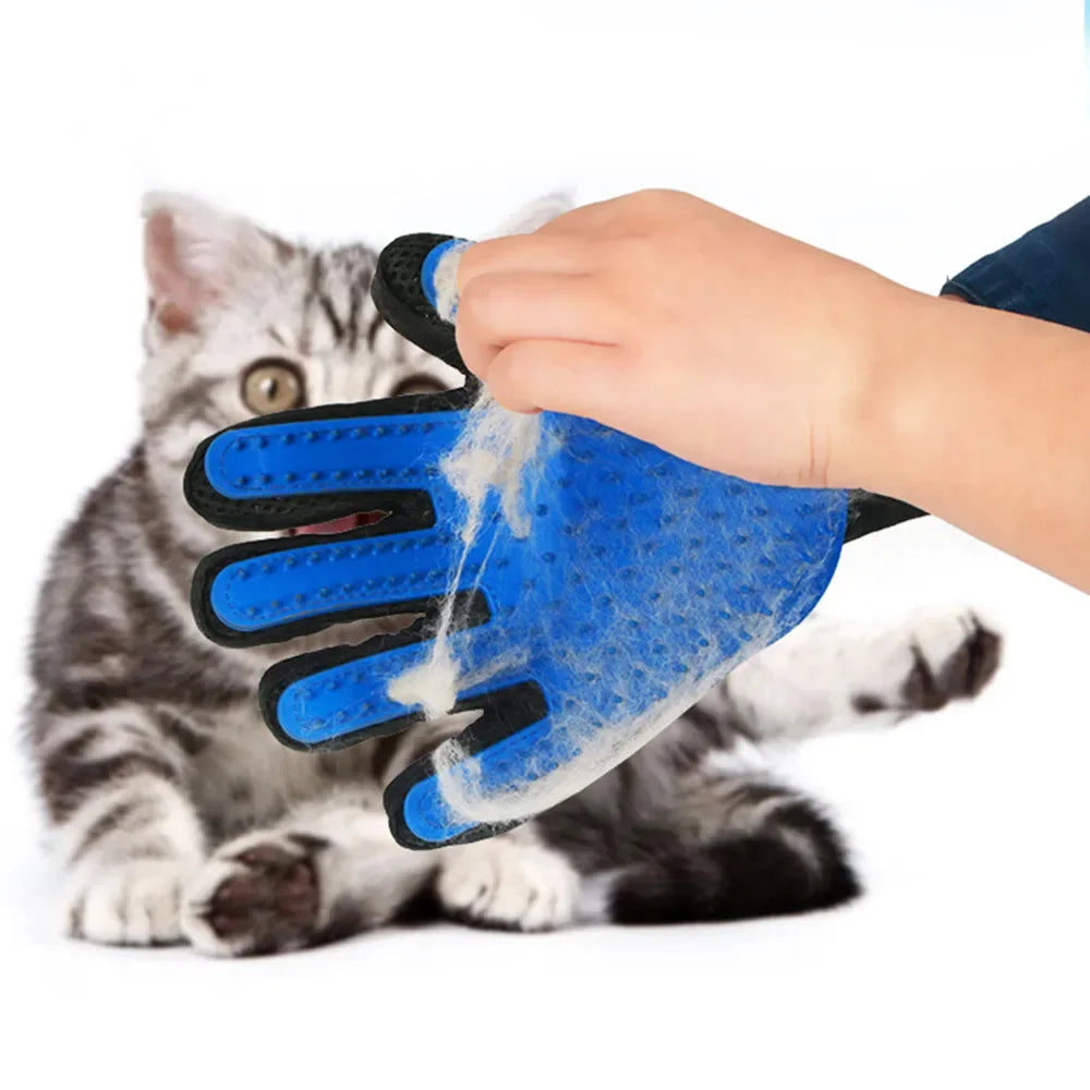 brosser-son-chat-avec-gant-brosse-pour-chat