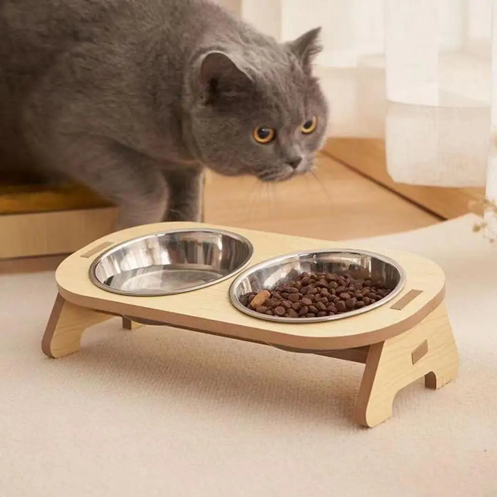 chat-qui-mange-dans-sa-gamelle-surélevée-pour-chat