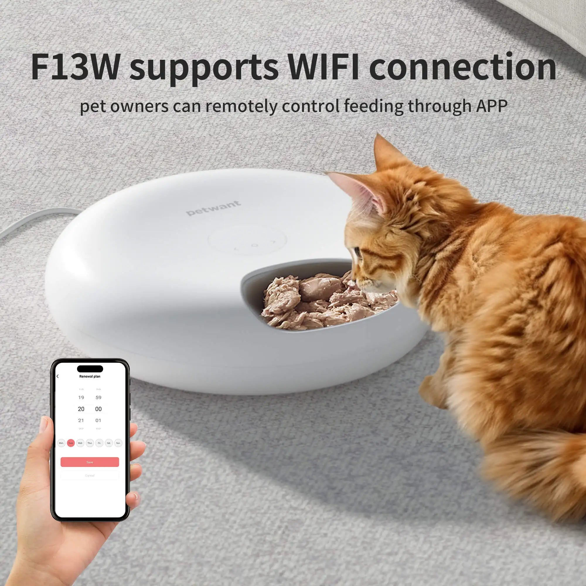 connection-distributeur-de-pate-pour-chat