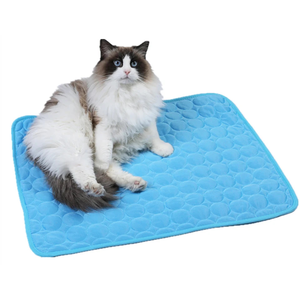 tapis rafraichissant pour chat avec chat